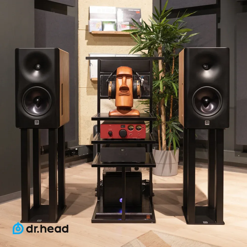 Dutch & Dutch 8c Speaker Black & Natural (1 шт)