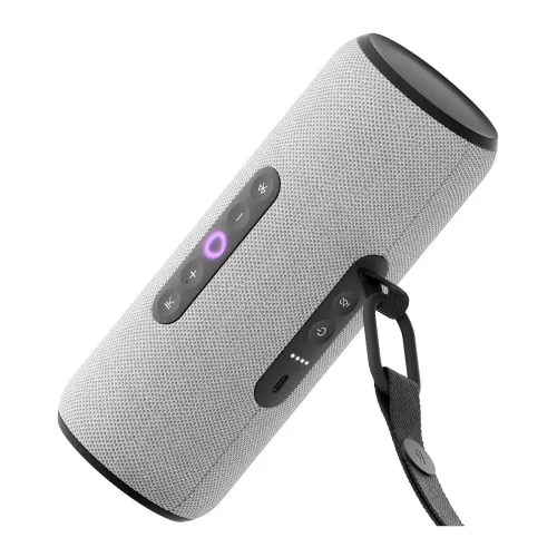 Яндекс Станция Стрит Grey