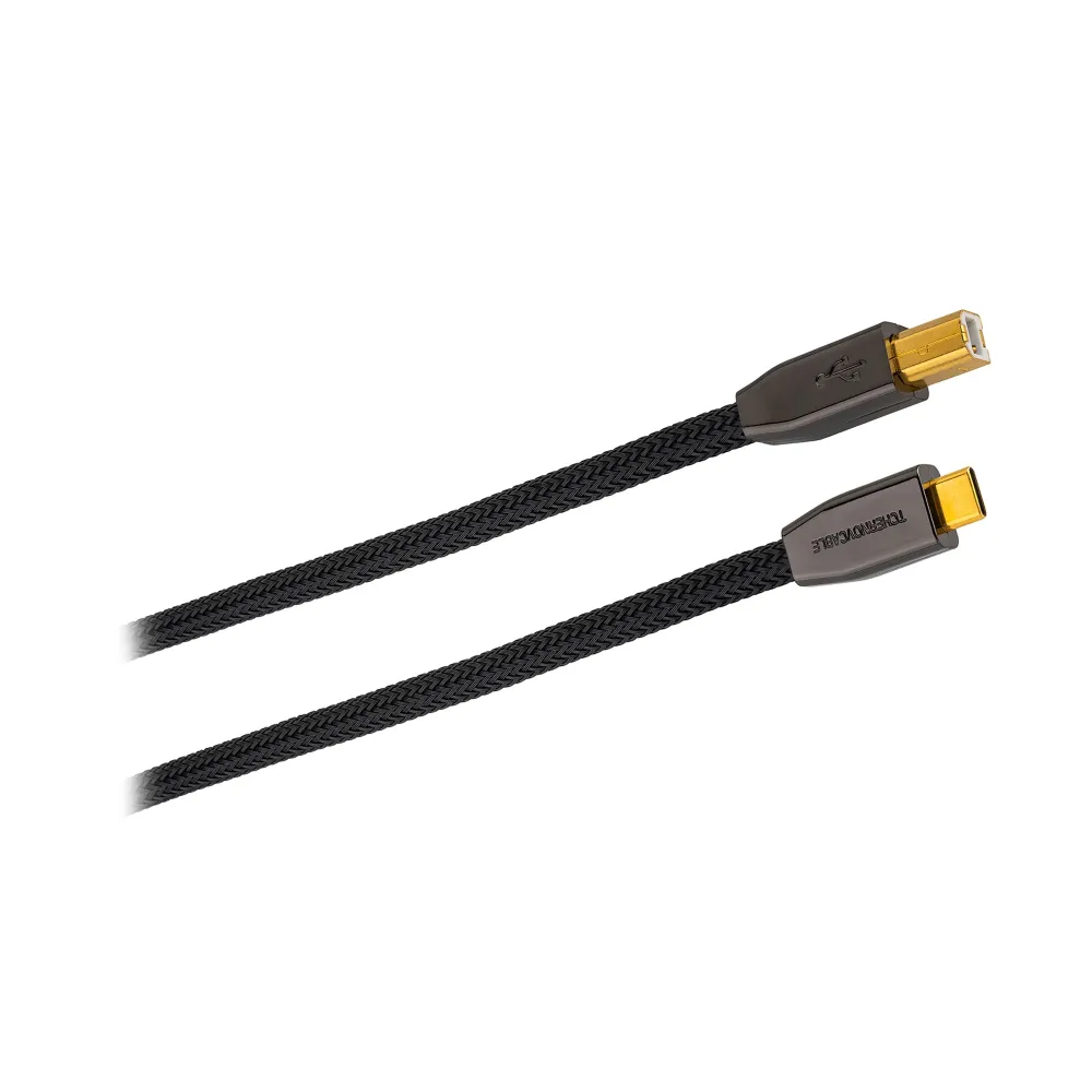 Tchernov Cable Standard USB-C - USB-B IC 2.65m