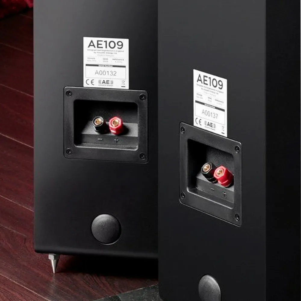 Acoustic Energy AE109 Satin Black