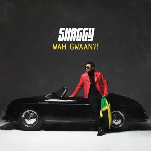 Shaggy _– Wah Gwaan?! LP