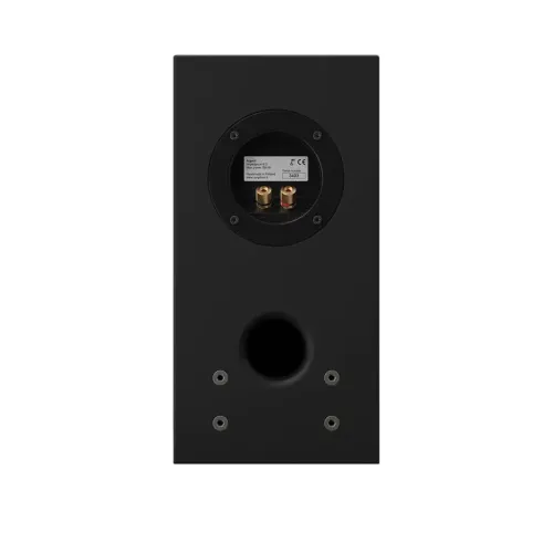 Amphion Argon1 + Eco BT + Premiera A1 + Wireworld Luna 8 Speaker Cable