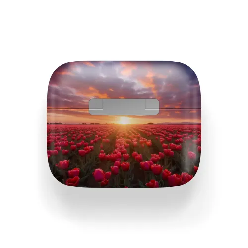 Apple AirPods 3 Tulip Fields