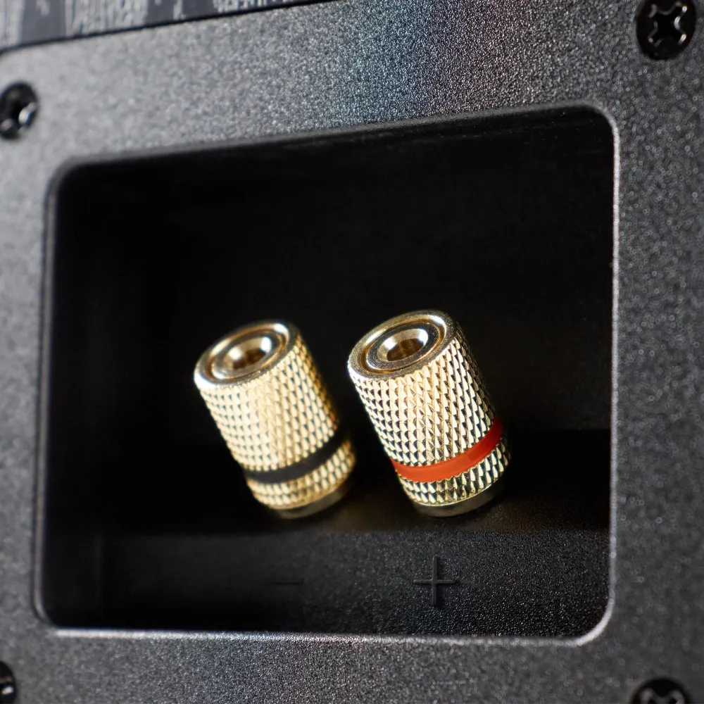 Radiotehnika S-20N Black Ash