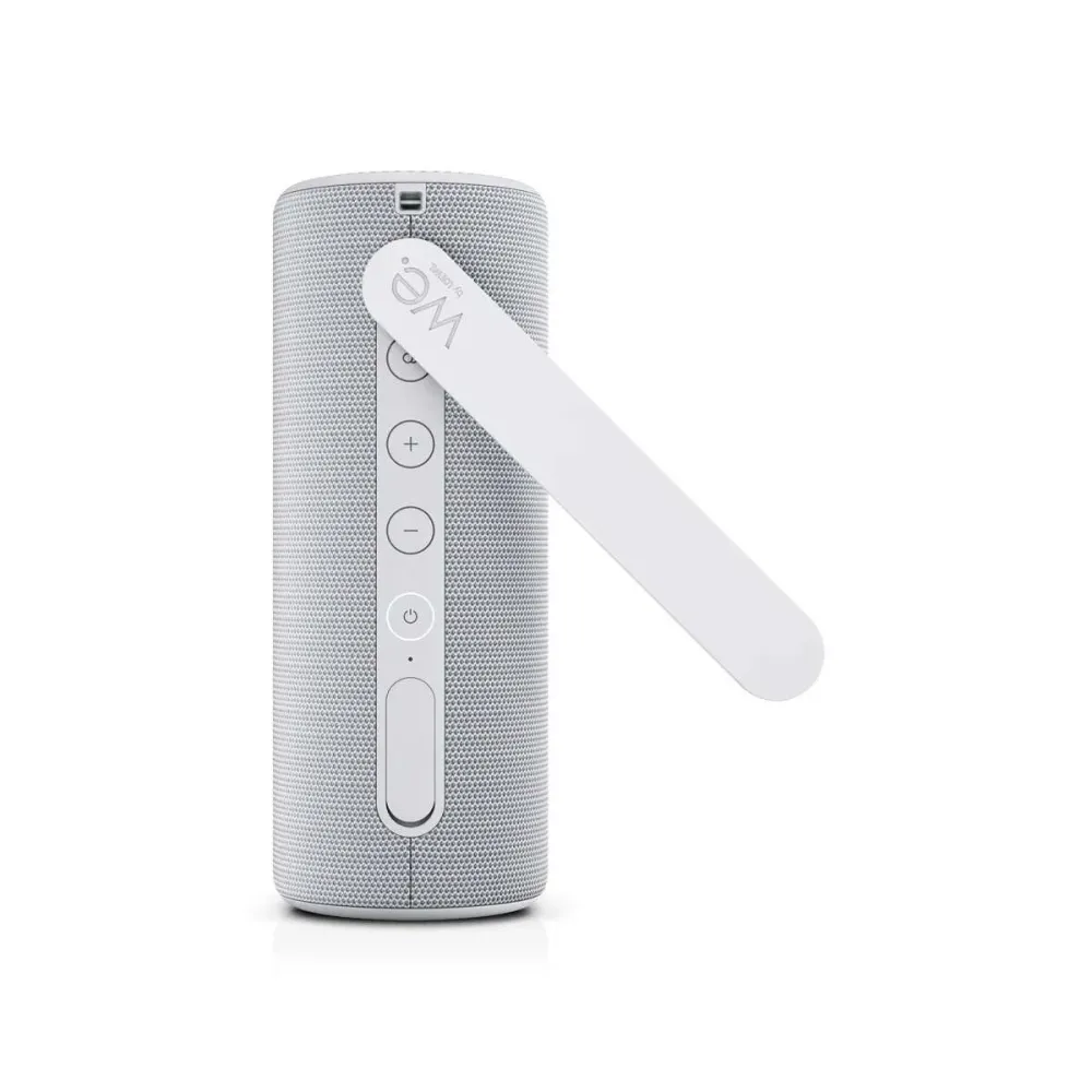 Loewe We. HEAR 2 Cool Grey