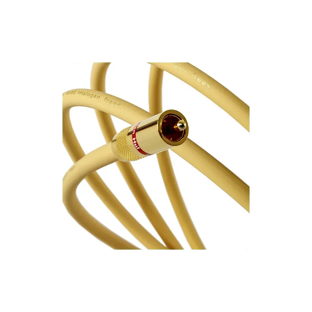 Van Den Hul The Name 2RCA-2RCA 1.2 m