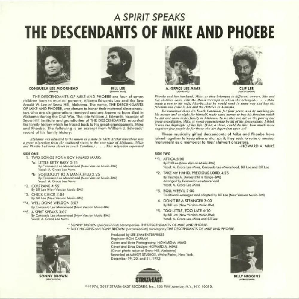 The Descendants Of Mike And Phoebe - A Spirit Speaks - (Pure Pleasure) LP