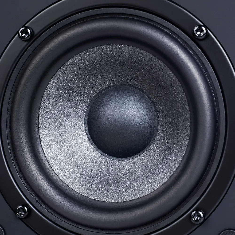 Radiotehnika S-10NA Black Ash