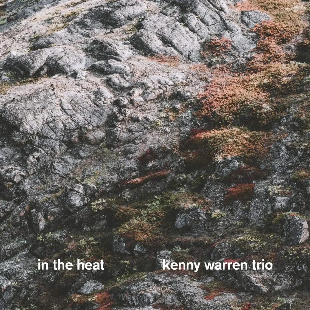 Kenny Warren Trio - In The Heat LP