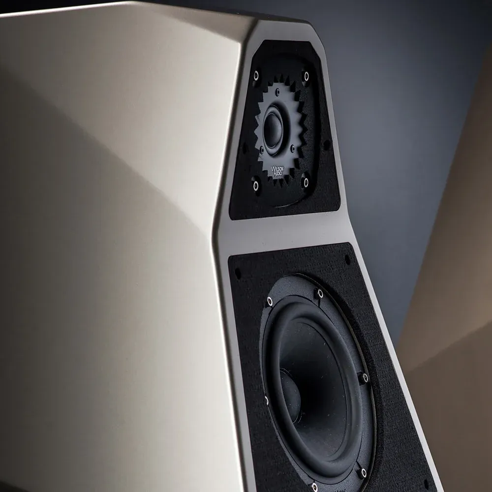 Wilson Audio Yvette Galaxy Gray
