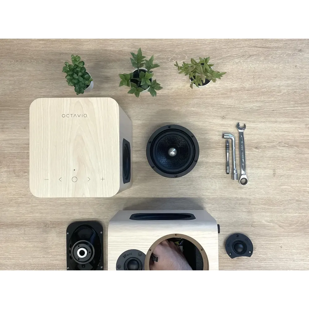 Octavio Maestro Black