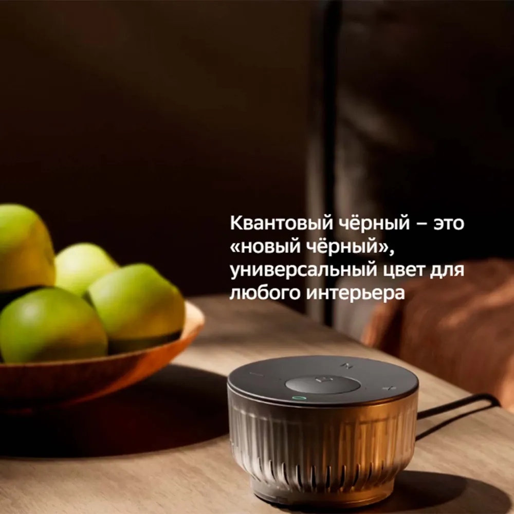 SberDevices SberBoom Mini 2 Quantum Black