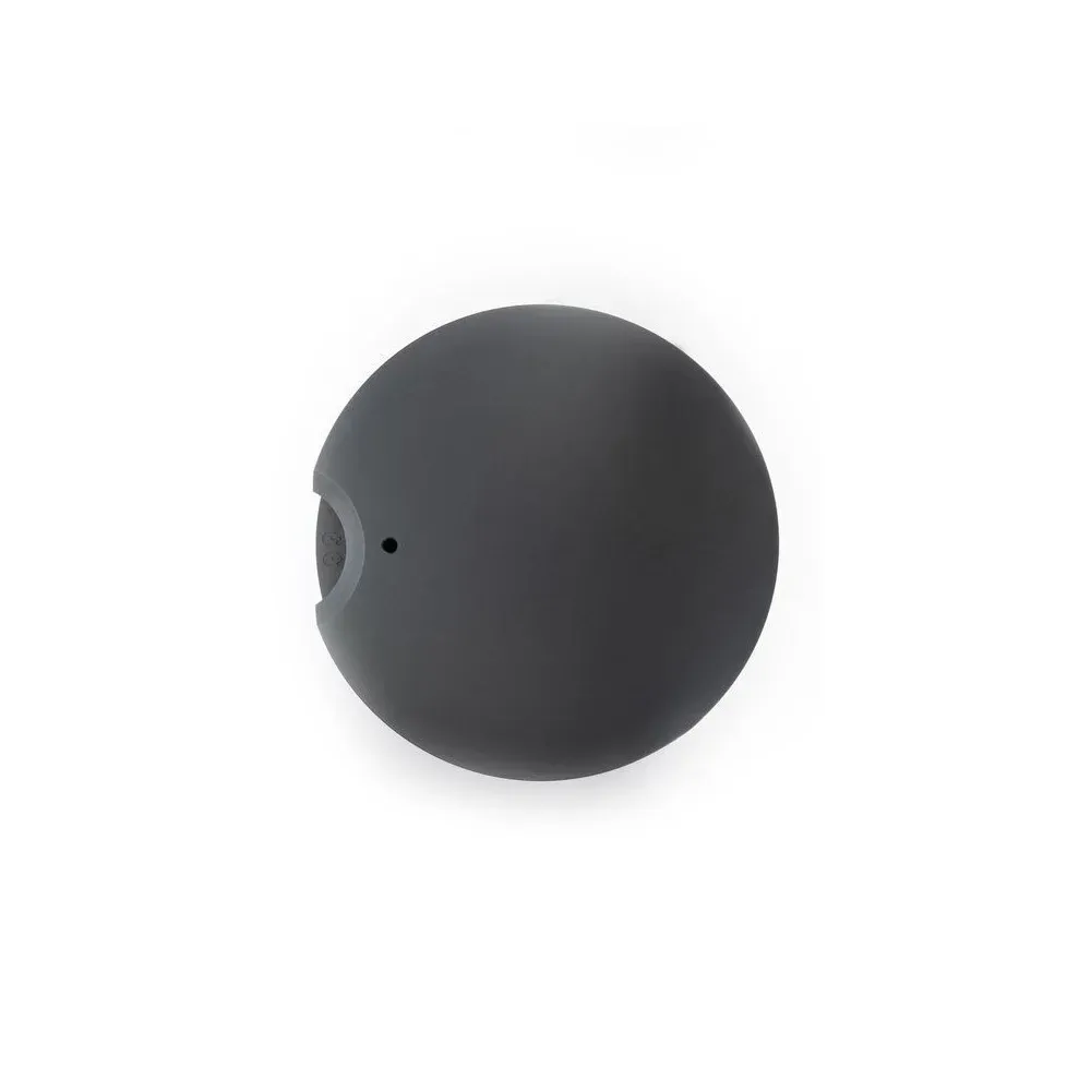 Transrotor MAX NERO Rega RB 330 Uccello Konstant Eins