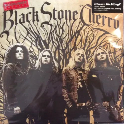 Black Stone Cherry – Black Stone Cherry LP