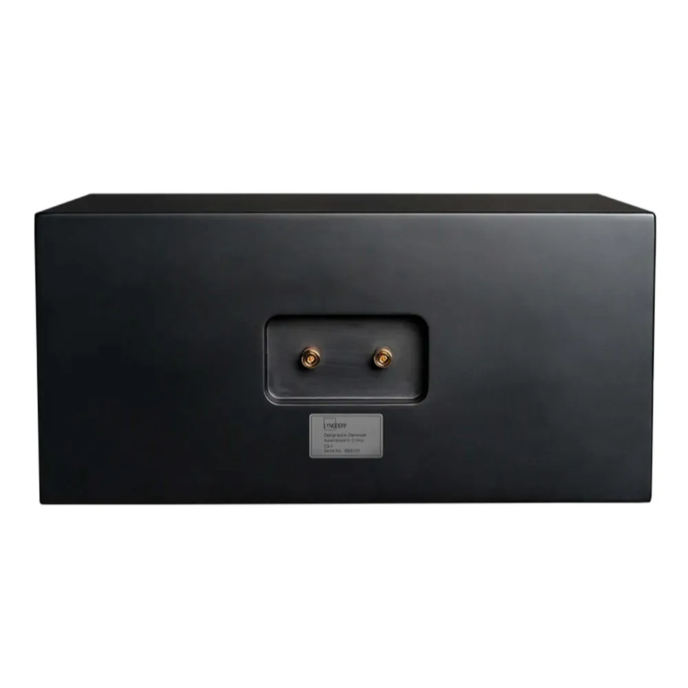 Lyngdorf CS-1 Matte Black